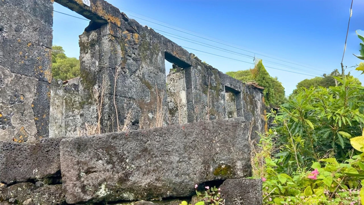 Terreno para Venda em Ribeiras Foto 2