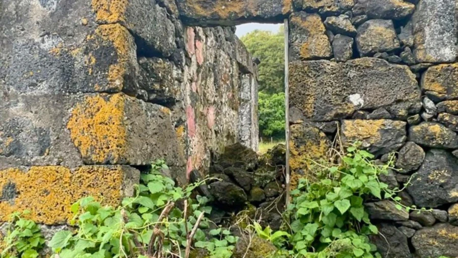 Terreno para Venda em Ribeiras Foto 1