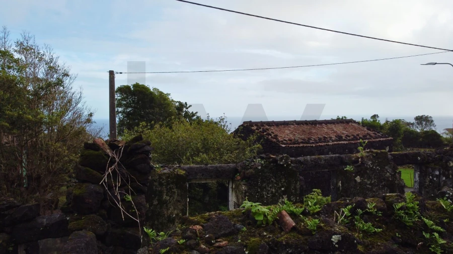 Terreno para Venda em Ribeiras Foto 11