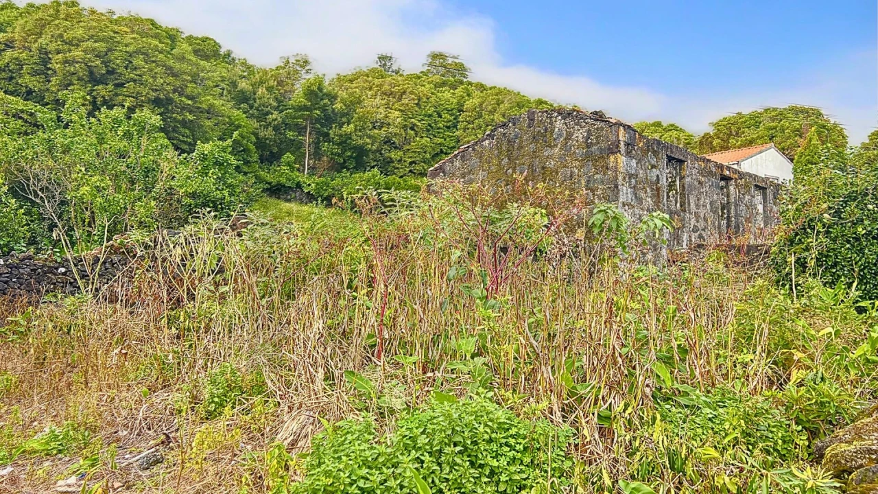 Terreno para Venda em Ribeiras Foto 6