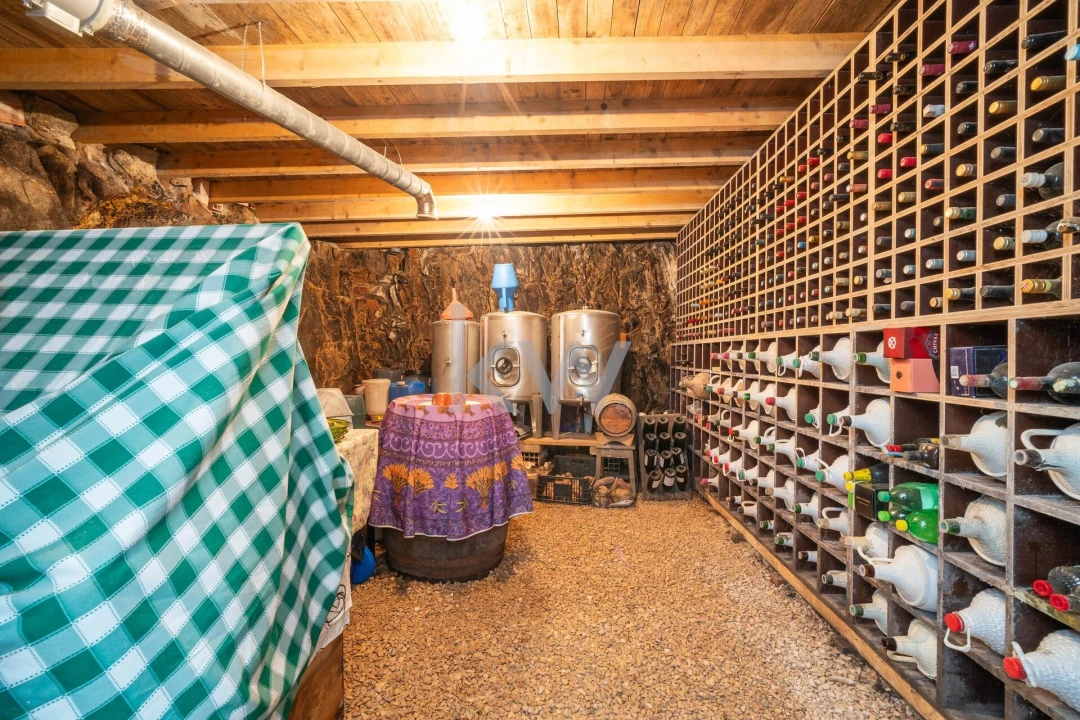 Moradia T4 para Venda em São Pedro de Alva e São Paio de Mondego Foto 61