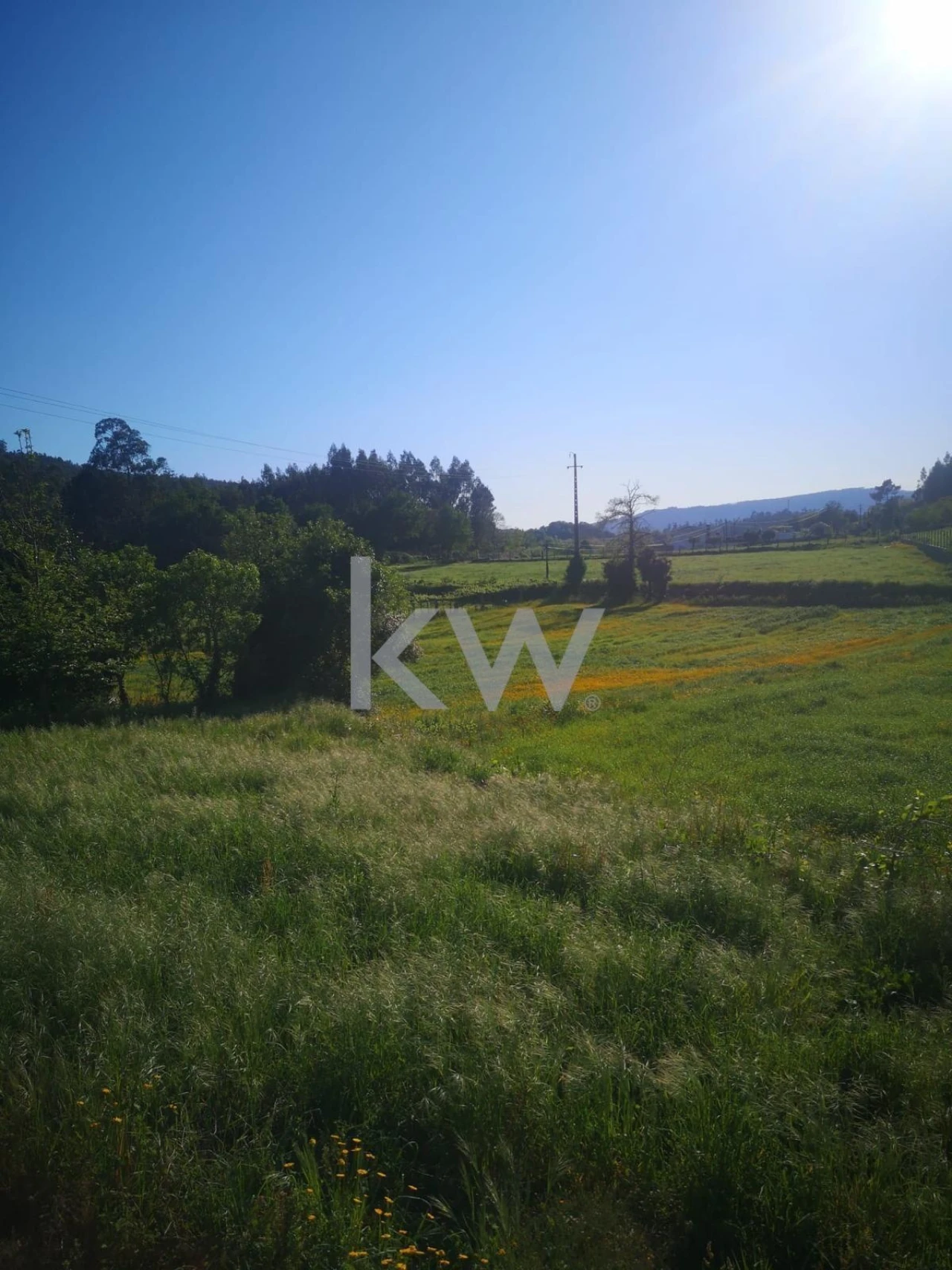 Terreno para Venda em Arnoso (Santa Maria e Santa Eulália) e Sezures Foto 6