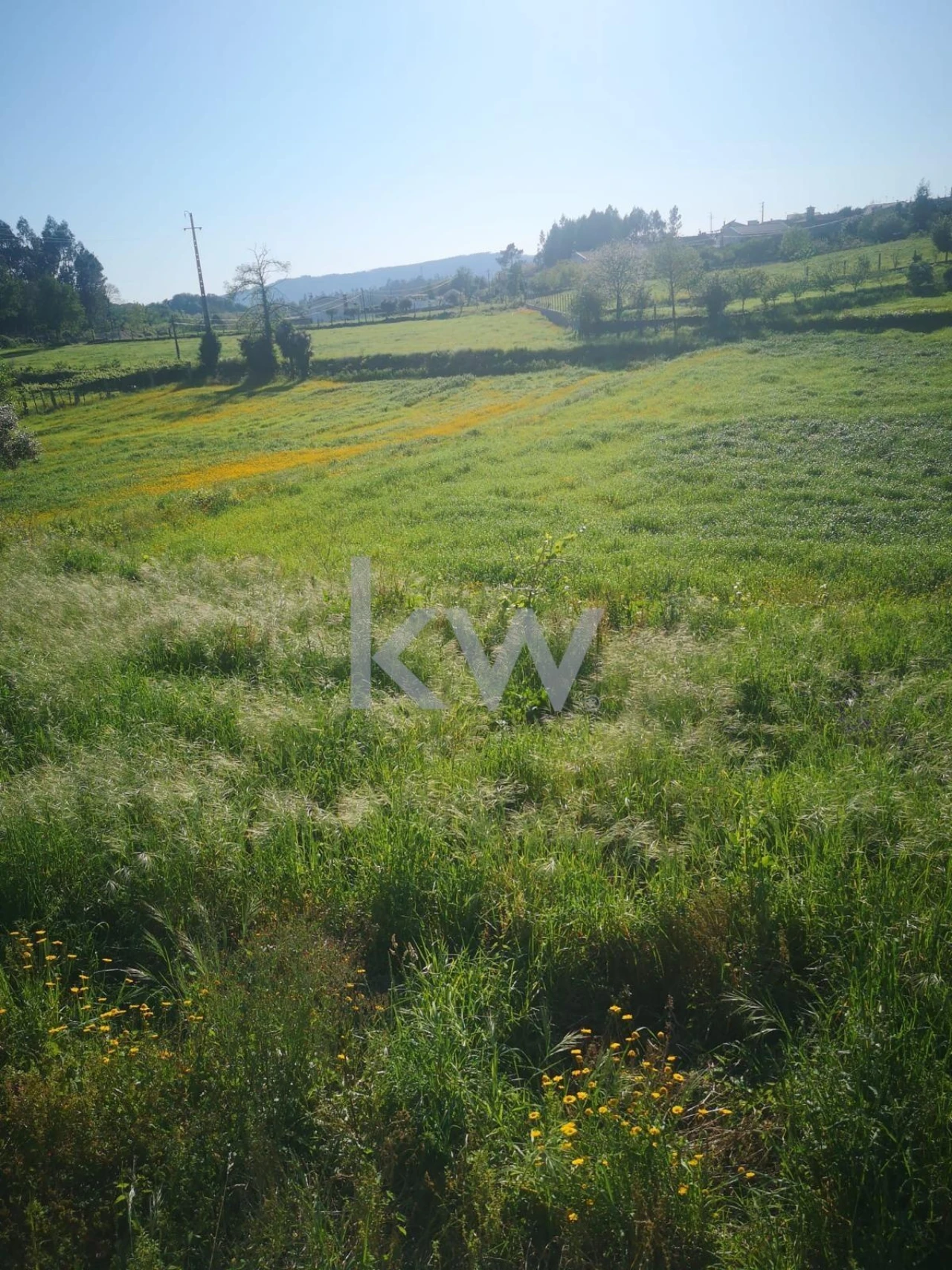 Terreno para Venda em Arnoso (Santa Maria e Santa Eulália) e Sezures Foto 4