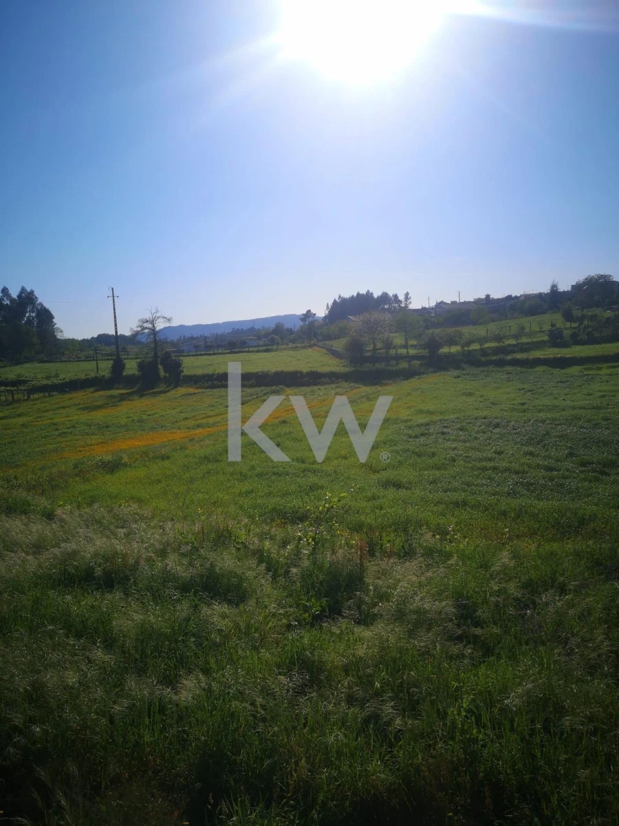 Terreno para Venda em Arnoso (Santa Maria e Santa Eulália) e Sezures Foto 5
