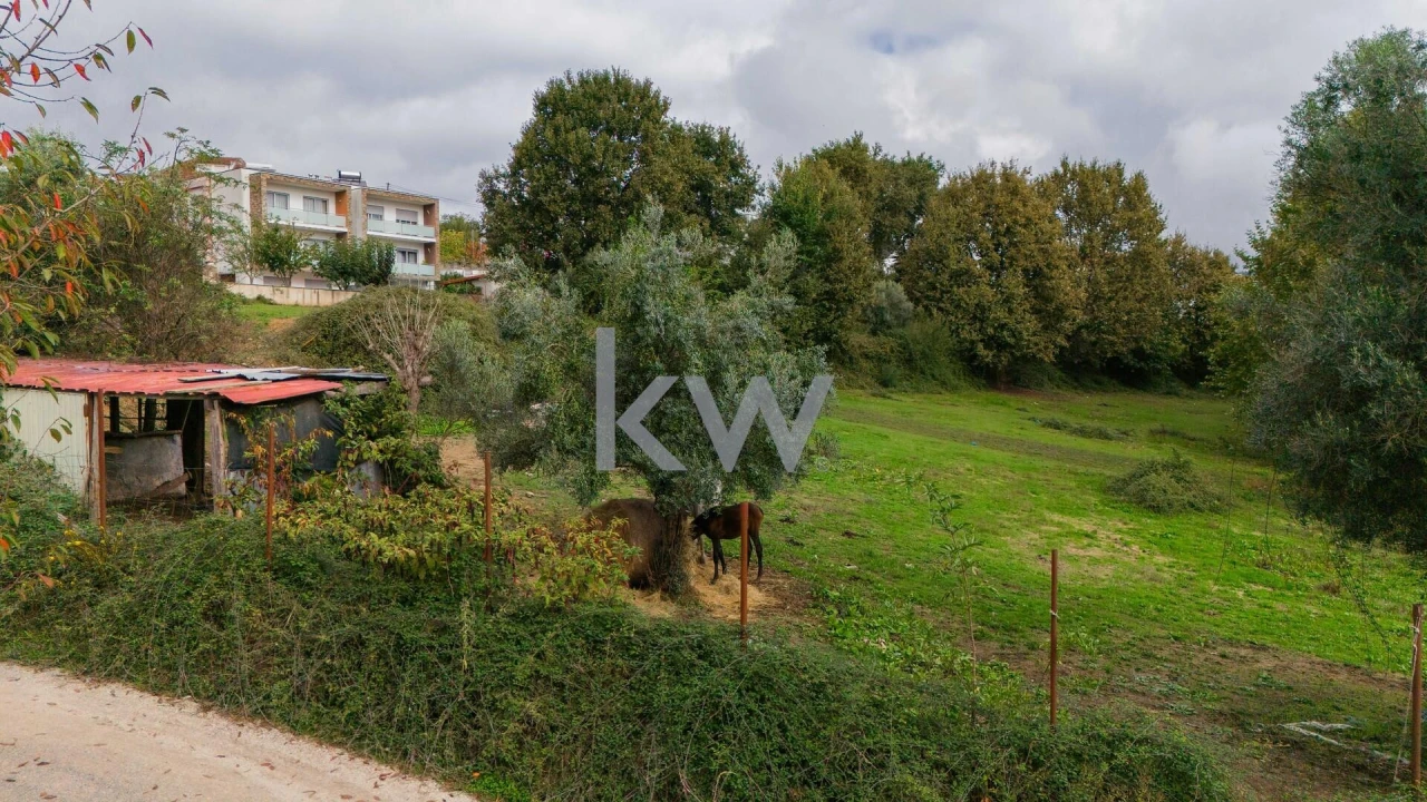 Moradia T4 para Venda em Refojos de Basto, Outeiro e Painzela Foto 13