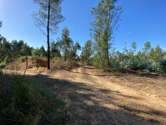 Terreno para Venda em Arrouquelas Foto 3