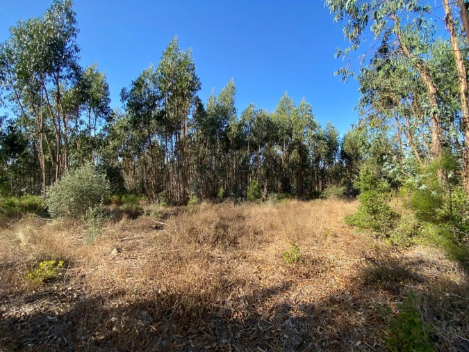 Terreno para Venda em Arrouquelas Foto 5