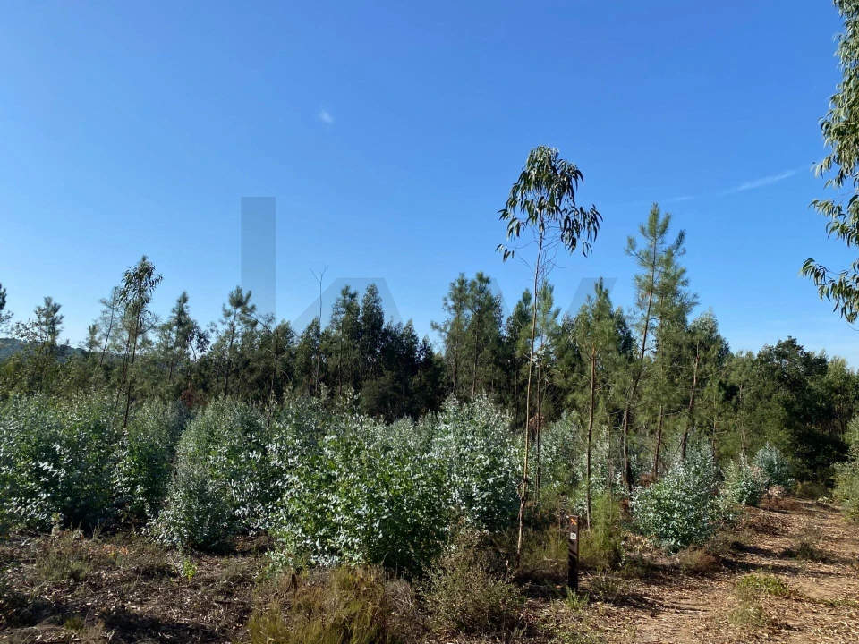 Terreno para Venda em Arrouquelas Foto 4