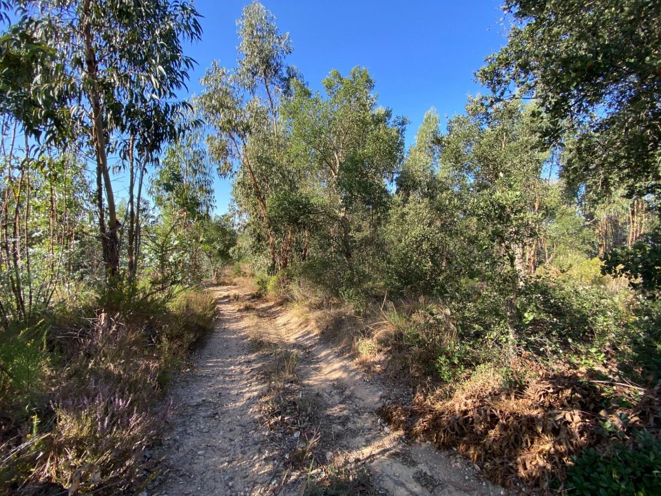 Terreno para Venda em Arrouquelas Foto 2