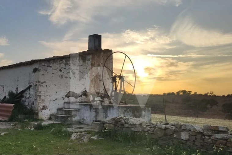 Moradia T1 para Venda em Martim Longo Foto 4