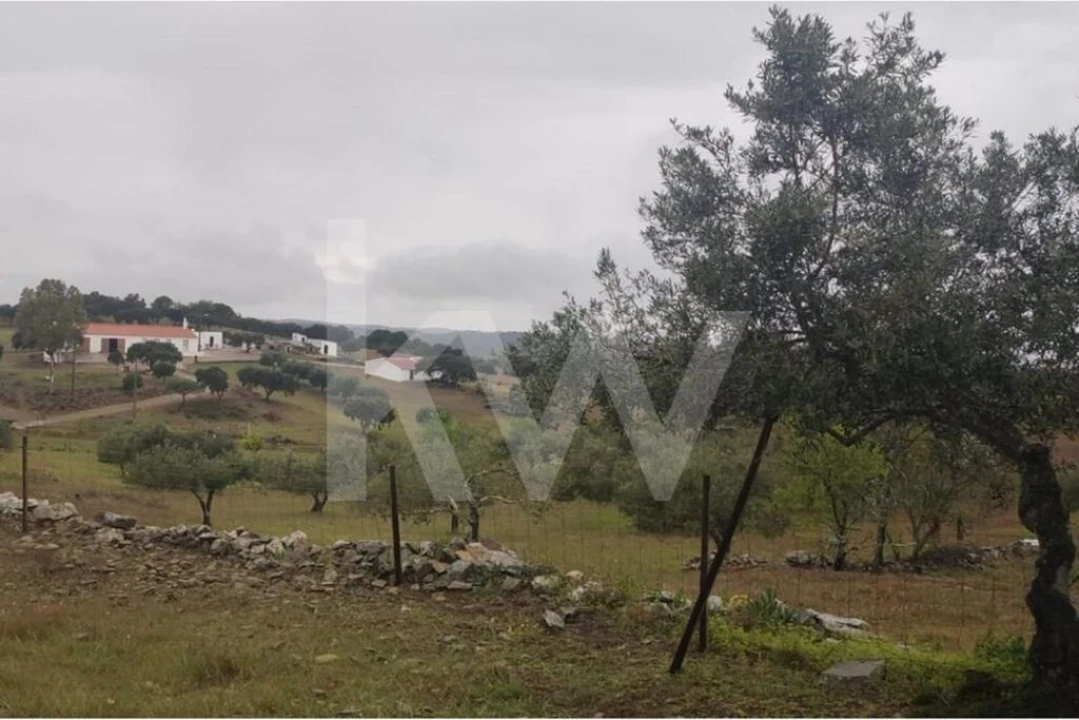 Moradia T1 para Venda em Martim Longo Foto 25