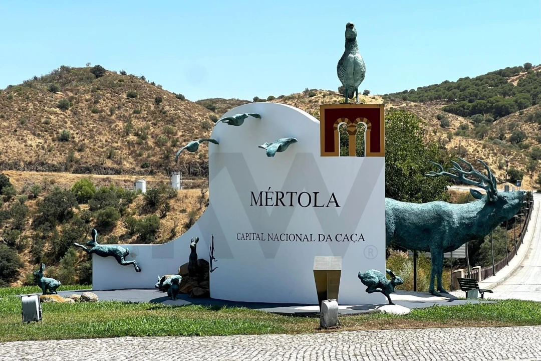 Moradia T15 para Venda em Mertola Foto 46