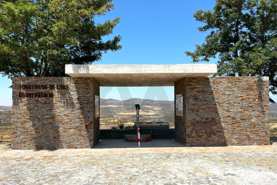 Moradia T15 para Venda em Mertola Foto 50