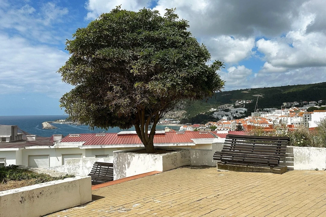 Moradia T4 para Venda em Sesimbra (Santiago) Foto 33