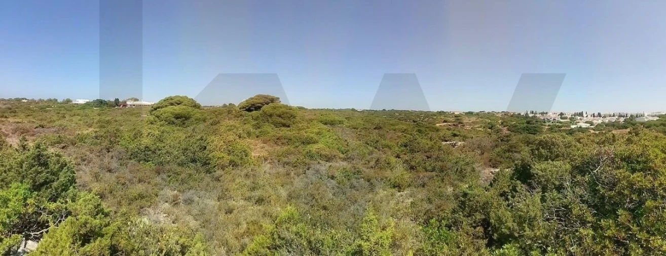 Terreno para Venda em Porches Foto 11