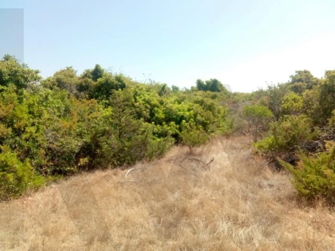 Terreno para Venda em Porches