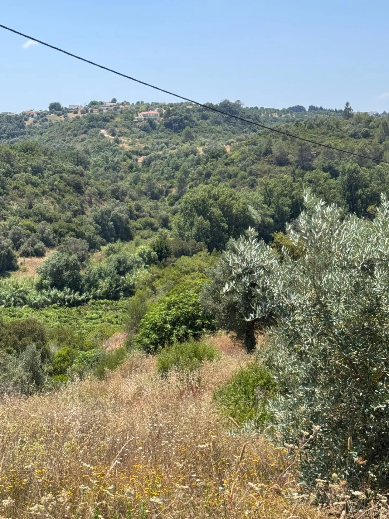Terreno para Venda em Achete, Azoia de Baixo e Póvoa de Santarém Foto 10