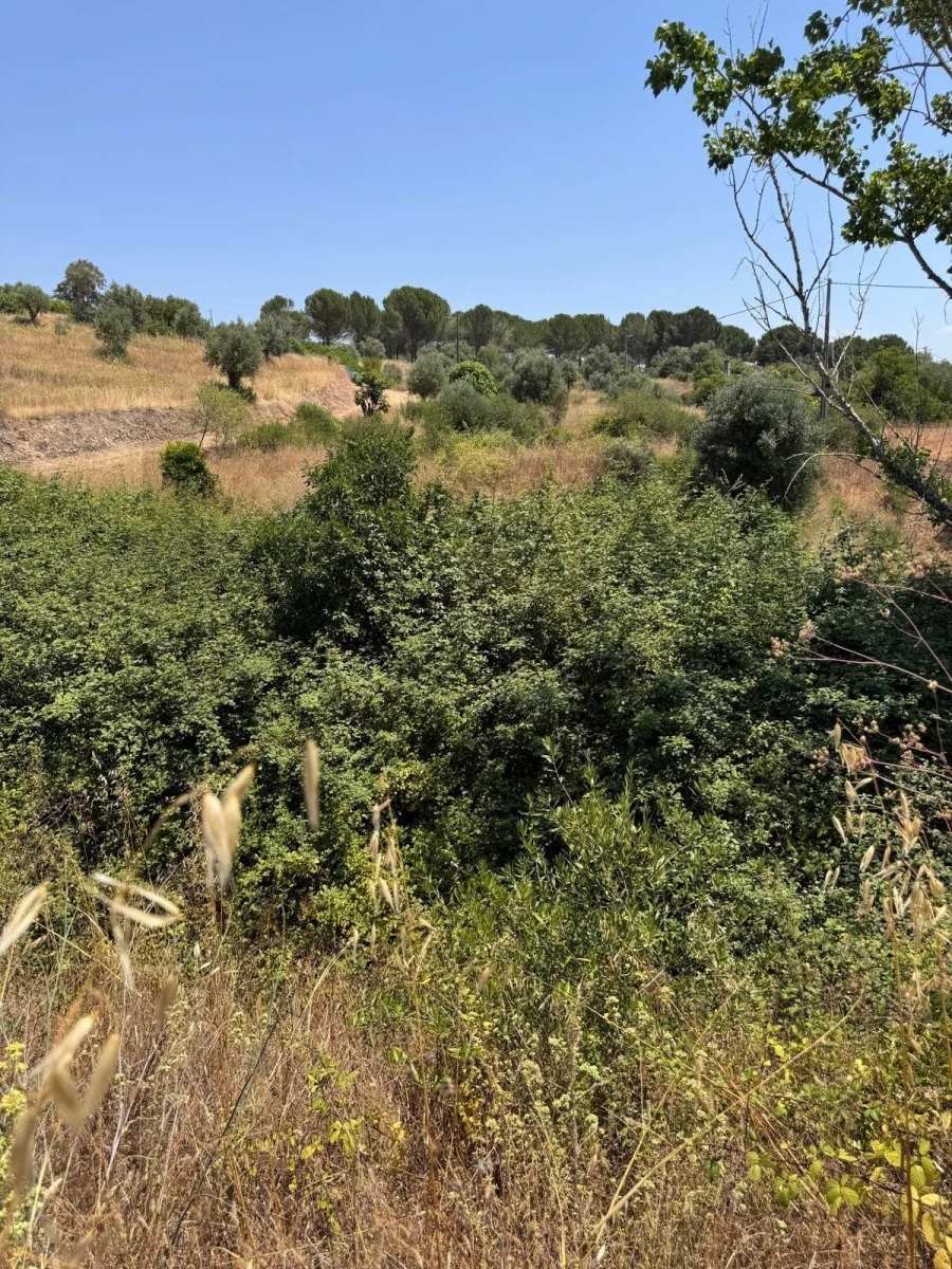 Terreno para Venda em Achete, Azoia de Baixo e Póvoa de Santarém Foto 9