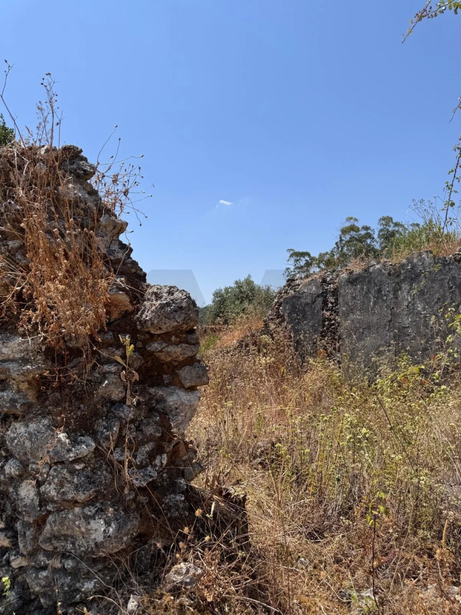 Terreno para Venda em Achete, Azoia de Baixo e Póvoa de Santarém Foto 3