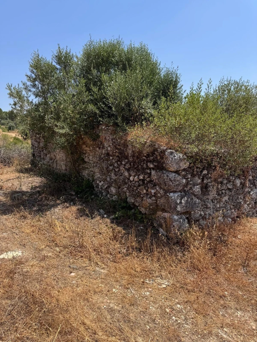 Terreno para Venda em Achete, Azoia de Baixo e Póvoa de Santarém Foto 2