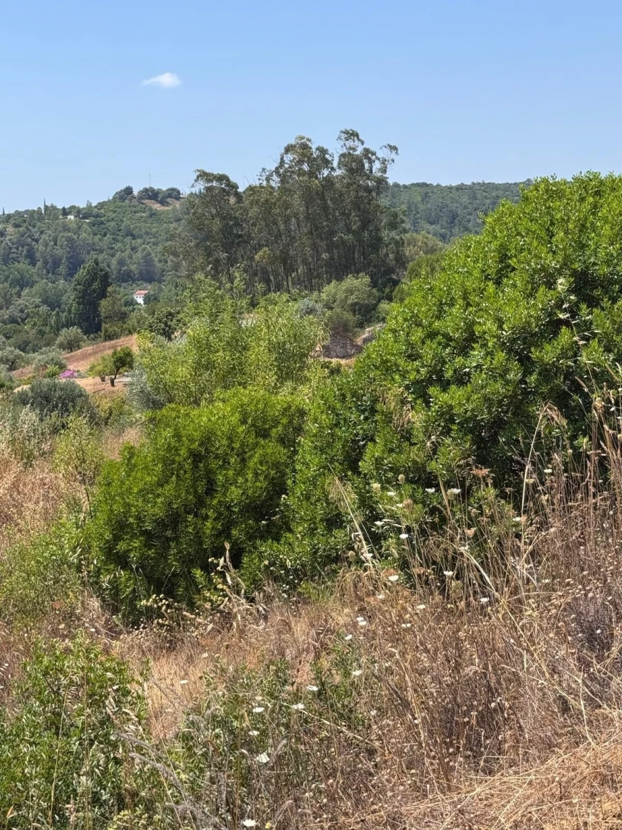 Terreno para Venda em Achete, Azoia de Baixo e Póvoa de Santarém Foto 6