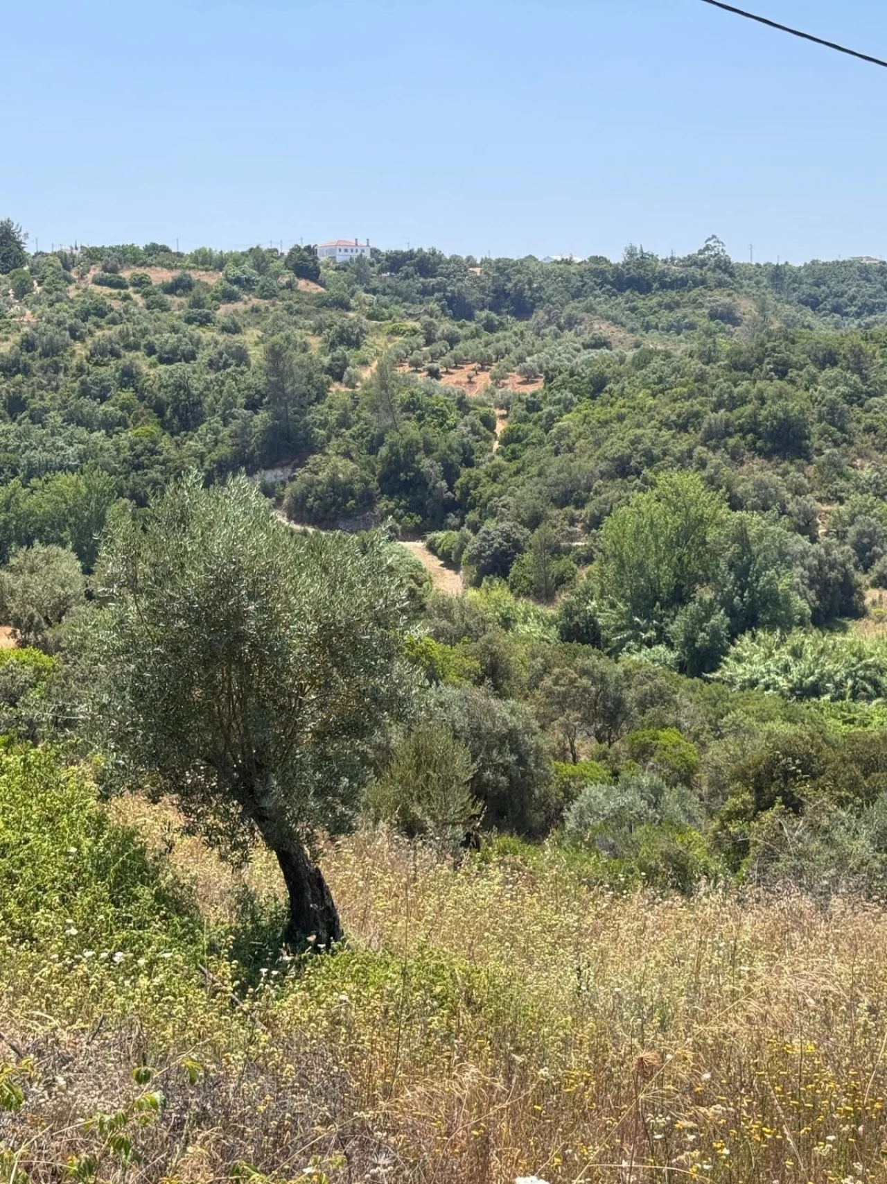 Terreno para Venda em Achete, Azoia de Baixo e Póvoa de Santarém Foto 5