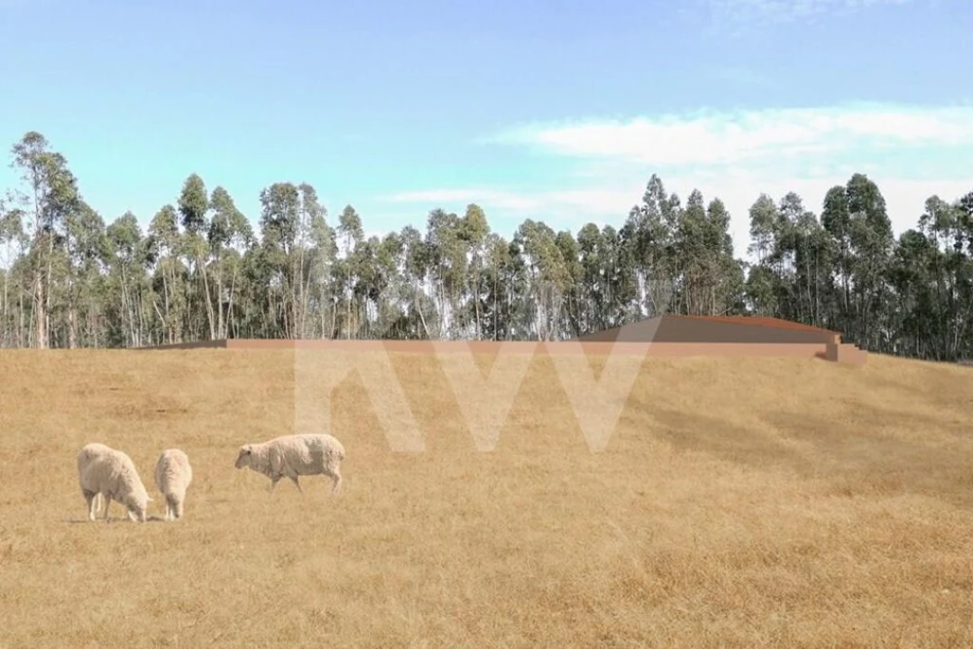 Quinta T1 para Venda em São Salvador e Santa Maria Foto 1
