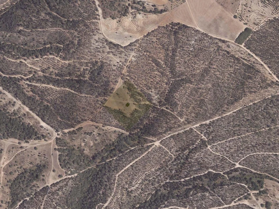 Quinta T3 para Venda em São Salvador e Santa Maria Foto 7