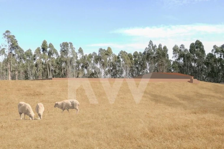 Quinta T1 para Venda em São Salvador e Santa Maria