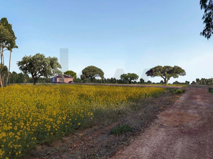 Quinta T3 para Venda em São Salvador e Santa Maria