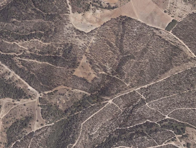 Quinta T3 para Venda em São Salvador e Santa Maria Foto 6