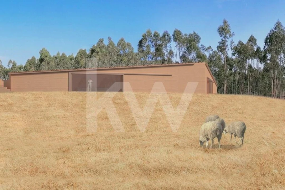 Quinta T1 para Venda em São Salvador e Santa Maria Foto 2