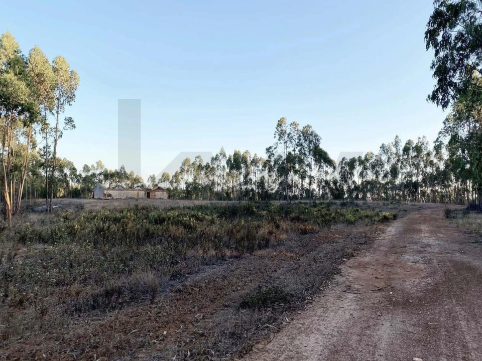 Quinta T3 para Venda em São Salvador e Santa Maria Foto 2