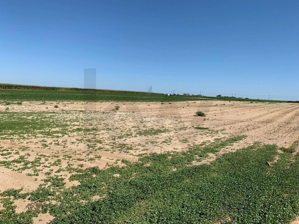 Terreno para Venda em Poceirão e Marateca Foto 1