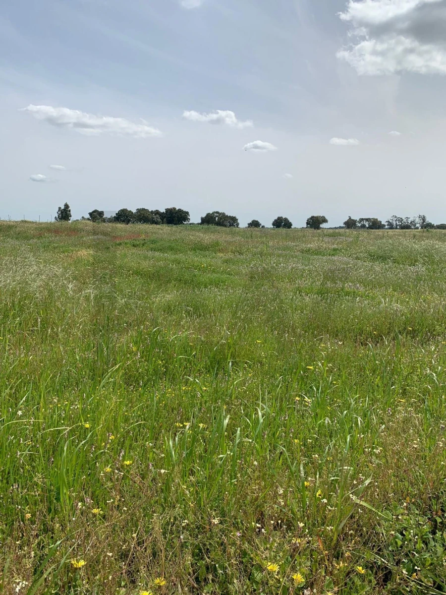 Terreno para Venda em Poceirão e Marateca Foto 6