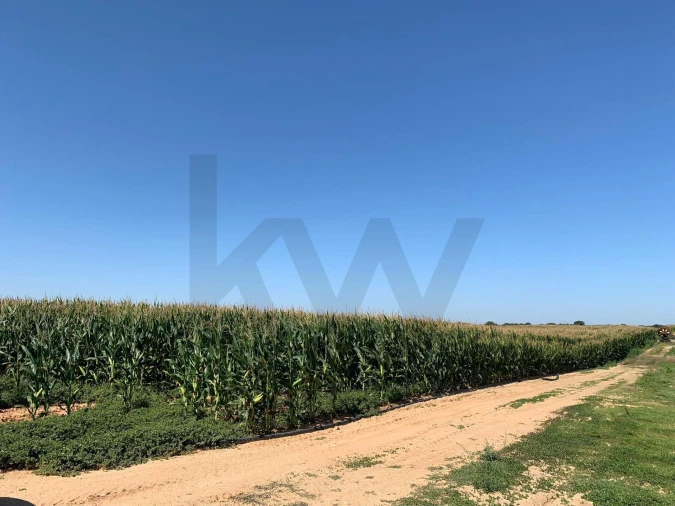 Terreno para Venda em Poceirão e Marateca Foto 4