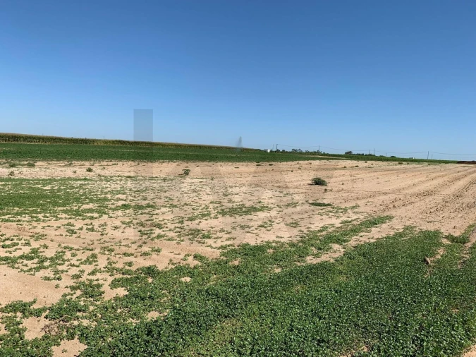 Terreno para Venda em Poceirão e Marateca Foto 1