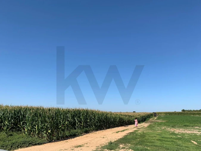 Terreno para Venda em Poceirão e Marateca Foto 2