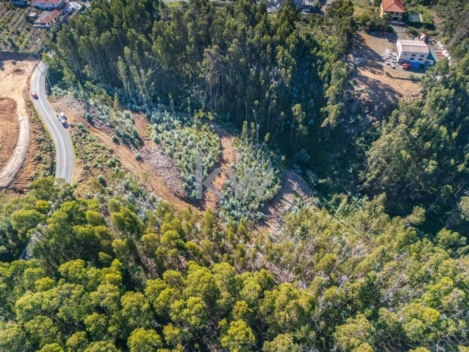 Terreno para Venda em Estreito da Calheta Foto 5