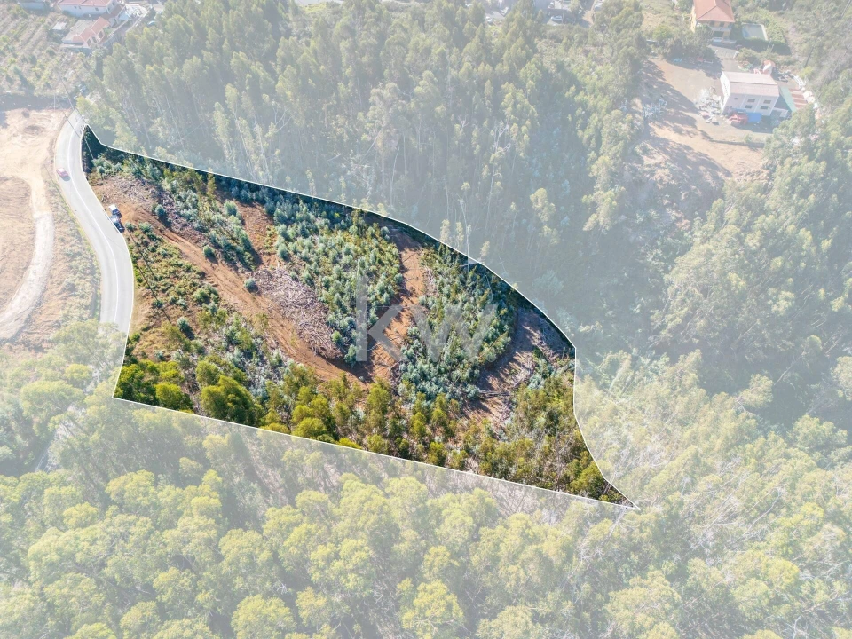 Terreno para Venda em Estreito da Calheta Foto 6