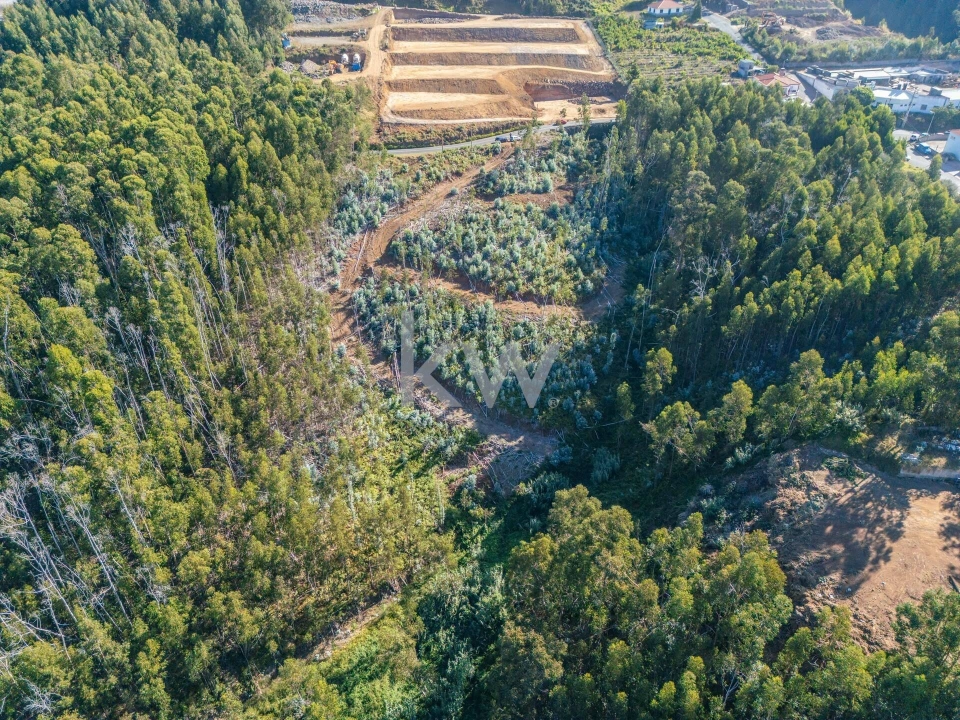 Terreno para Venda em Estreito da Calheta Foto 7