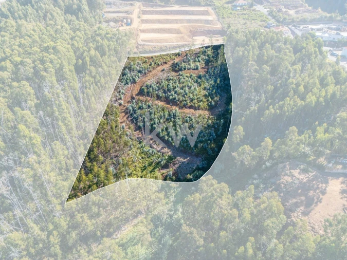 Terreno para Venda em Estreito da Calheta Foto 8