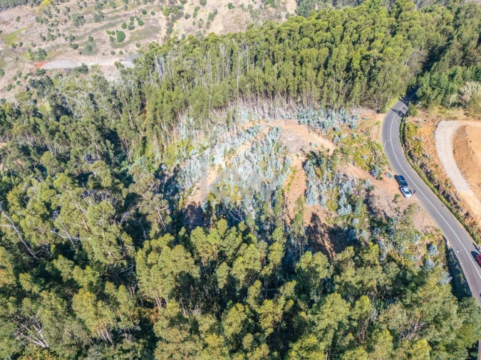 Terreno para Venda em Estreito da Calheta Foto 9