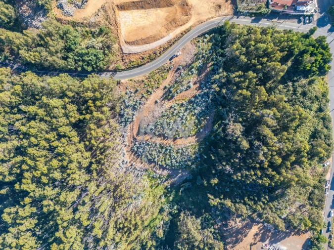 Terreno para Venda em Estreito da Calheta Foto 3