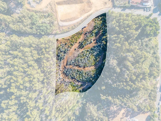 Terreno para Venda em Estreito da Calheta Foto 4