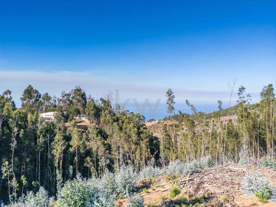 Terreno para Venda em Estreito da Calheta Foto 10