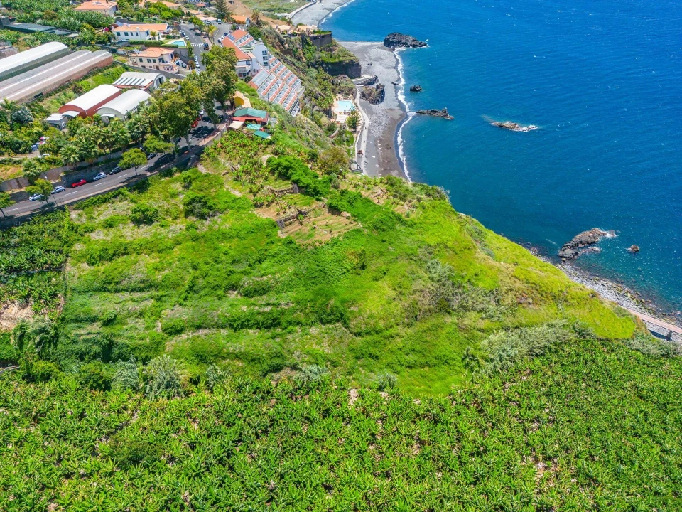 Terreno para Venda em São Martinho Foto 8