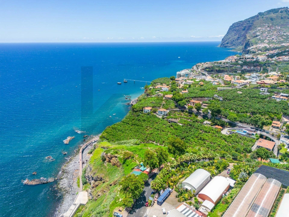 Terreno para Venda em São Martinho Foto 20