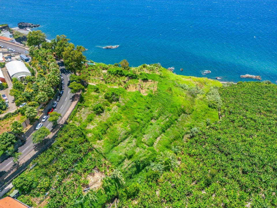 Terreno para Venda em São Martinho Foto 9