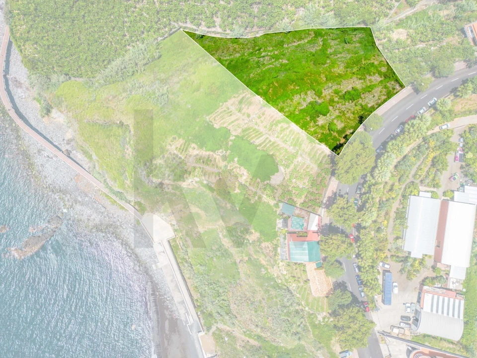 Terreno para Venda em São Martinho Foto 2